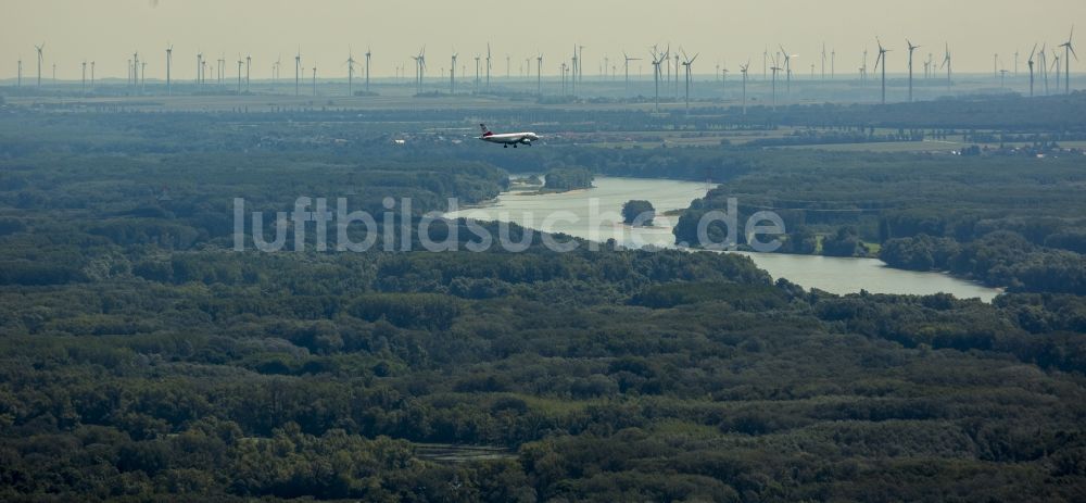 Wien aus der Vogelperspektive: Ein Flugzeug im Luftraum über der Stadt Wien in Österreich