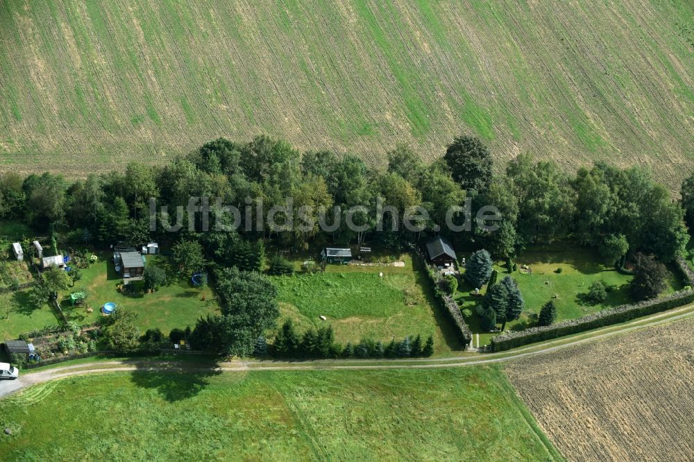 Beutha von oben - Einfamilienhaus und Gärten im Süden von Beutha im Bundesland Sachsen