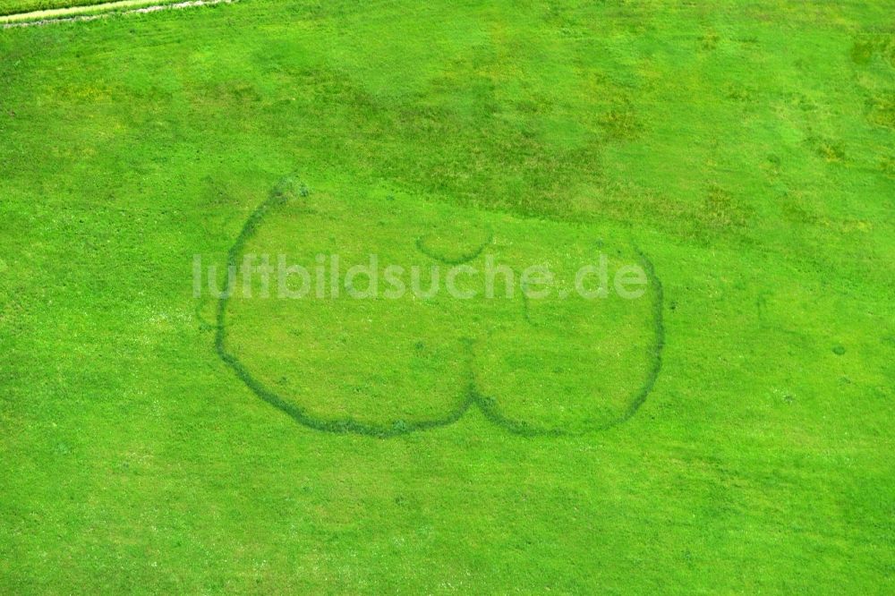 Burg aus der Vogelperspektive: Eingemähter Gesäßabdruck eines symbolisierten Hinterteiles - Hintern auf einer grünen Wiese am Stadtrand von Burg im Bundesland Sachsen-Anhalt