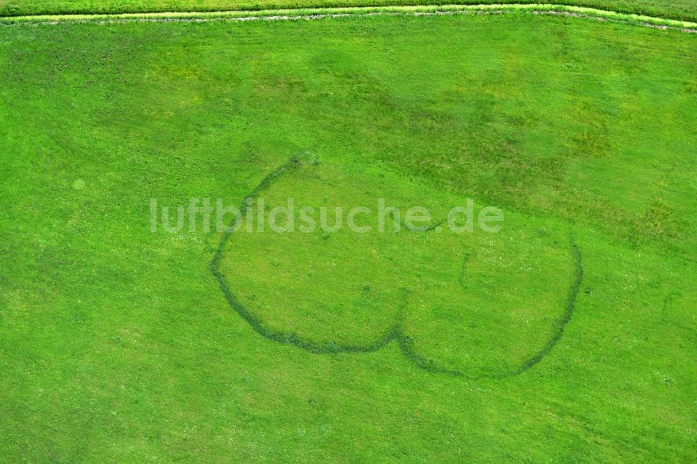 Luftbild Burg - Eingemähter Gesäßabdruck eines symbolisierten Hinterteiles - Hintern auf einer grünen Wiese am Stadtrand von Burg im Bundesland Sachsen-Anhalt