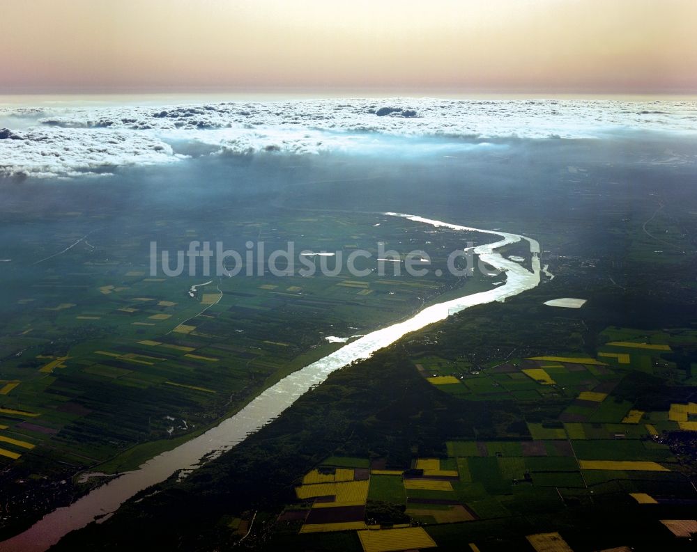 Geesthacht von oben - Elbe und Insel vor Geesthacht im Bundesland Schleswig-Holstein