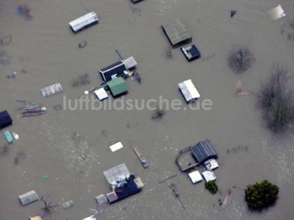 Luftbild Bad Schandau - Elbhochwasser in Bad Schandau