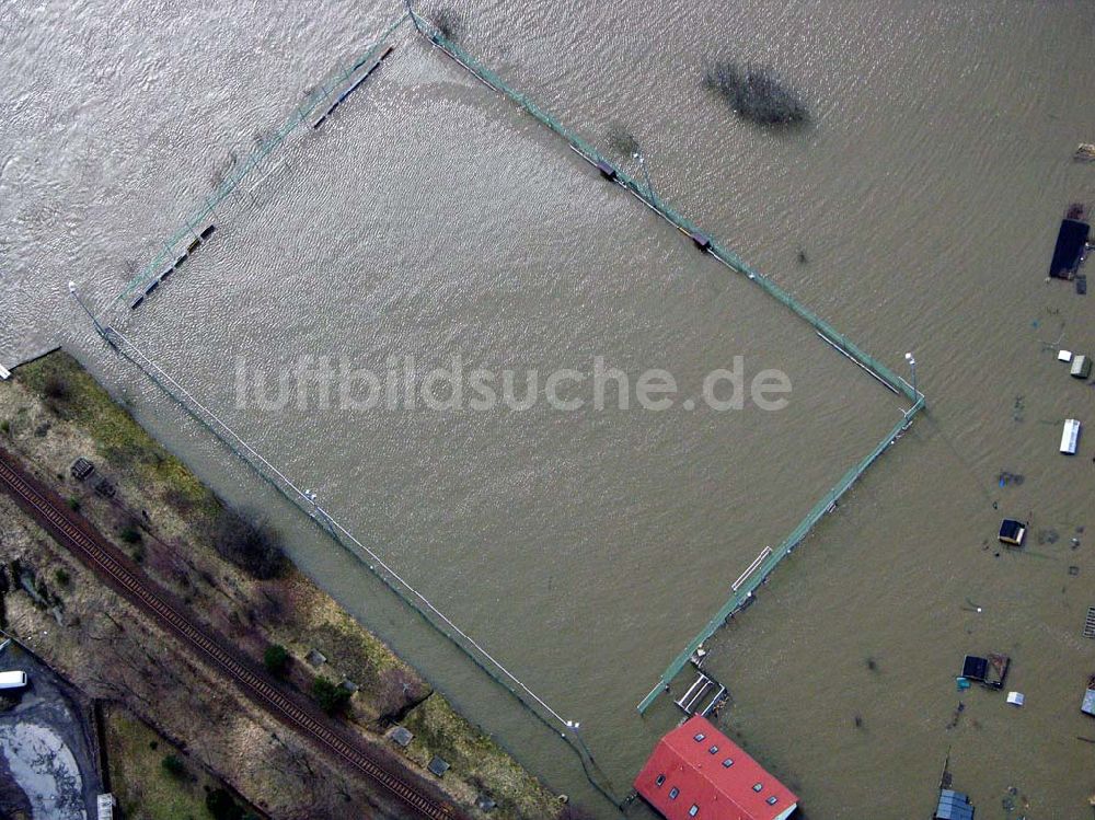 Bad Schandau von oben - Elbhochwasser in Bad Schandau