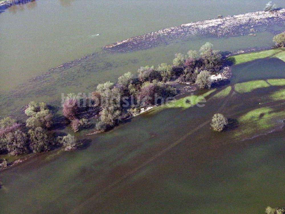 Luftaufnahme Coswig - Elbhochwasser bei Coswig (Anhalt)