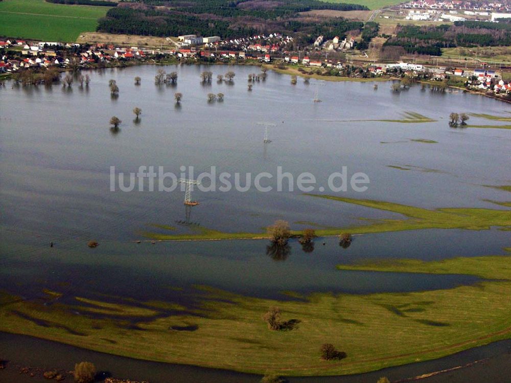 Coswig von oben - Elbhochwasser bei Coswig (Anhalt)