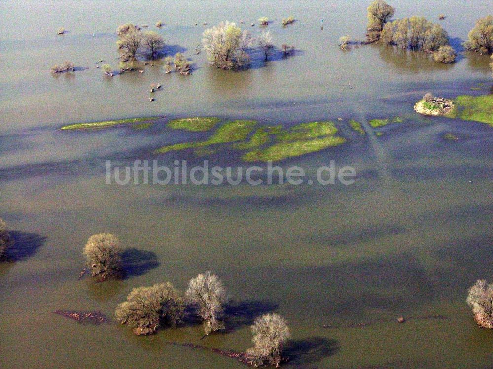 Coswig aus der Vogelperspektive: Elbhochwasser bei Coswig (Anhalt)