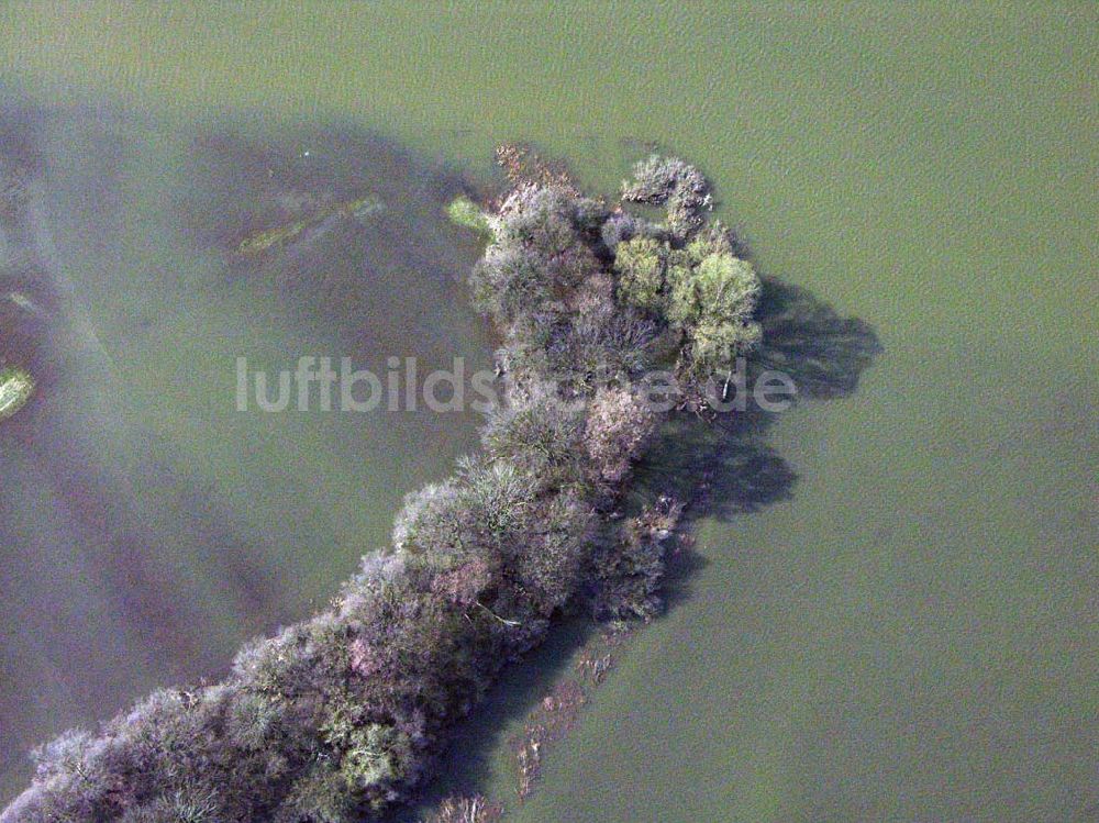 Luftaufnahme Coswig - Elbhochwasser bei Coswig (Anhalt)