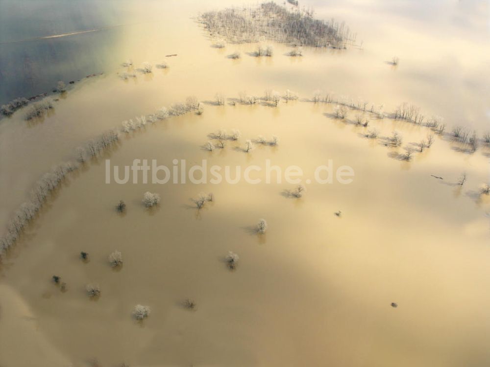 Luftbild Pretzsch - Elbhochwasser bei Pretzsch