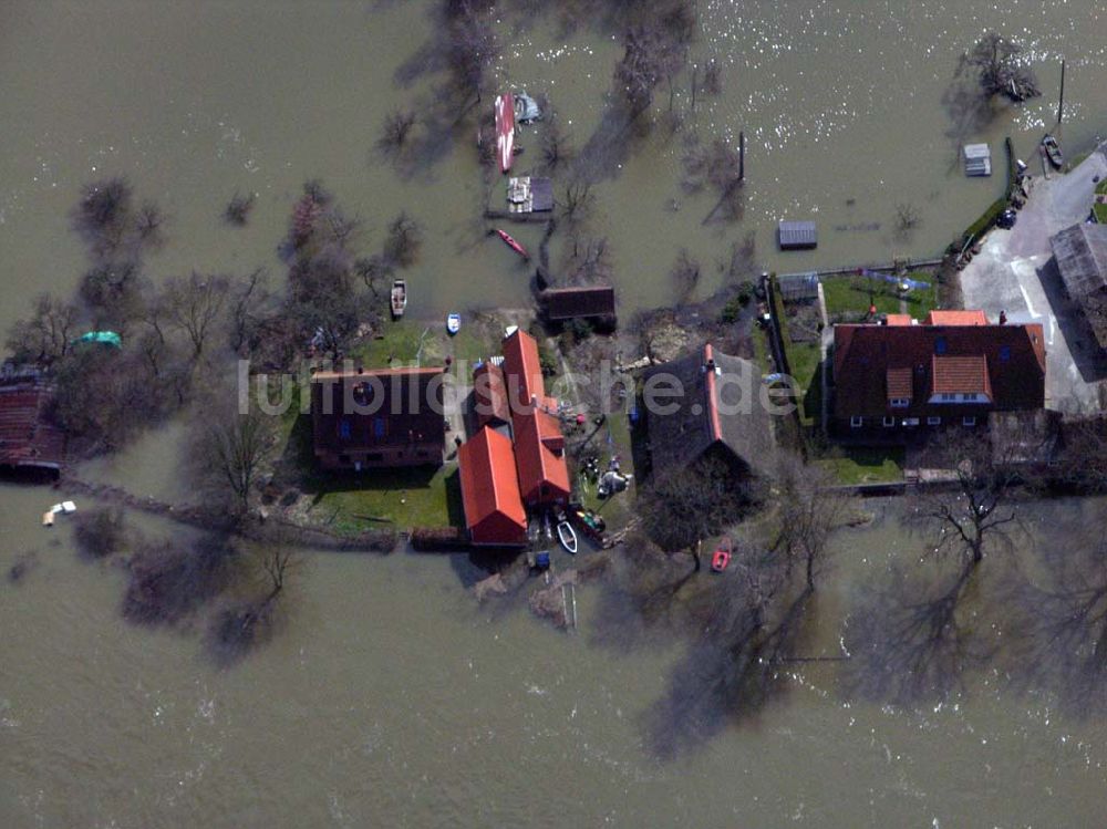 Luftaufnahme Lauenburg - Elbhochwasser in Lauenburg / Schleswig-Holstein