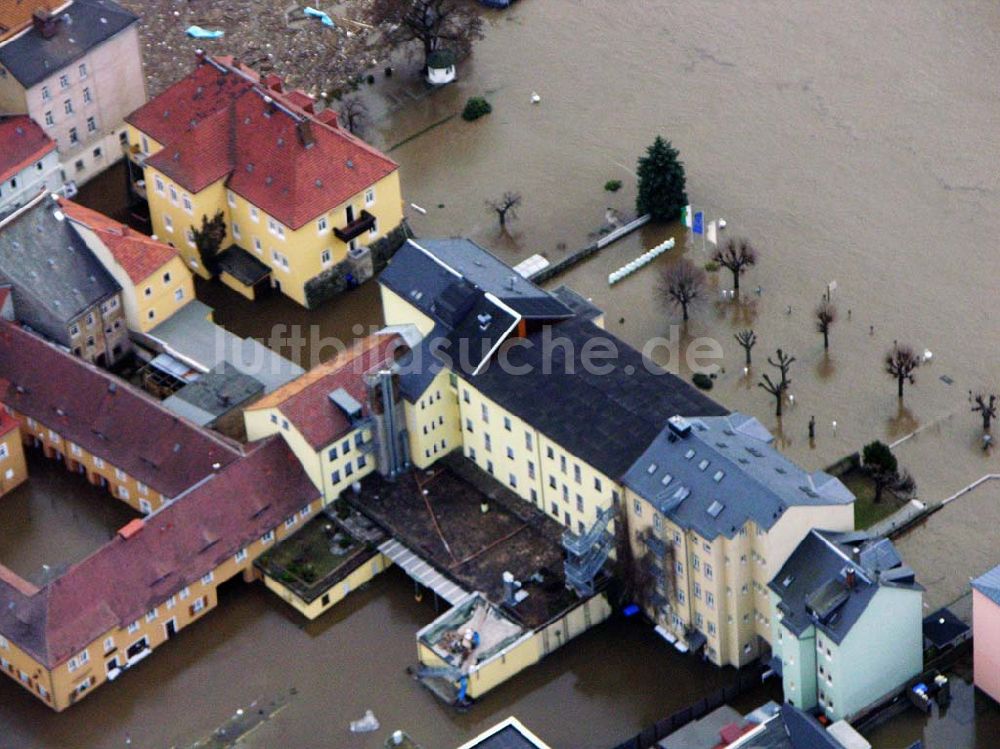 Bad Schandau aus der Vogelperspektive: Elbhochwasser im Stadtzentrum von Bad Schandau