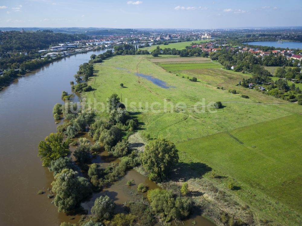 Pirna aus der Vogelperspektive: Elbwiesen in Pirna im Bundesland Sachsen, Deutschland