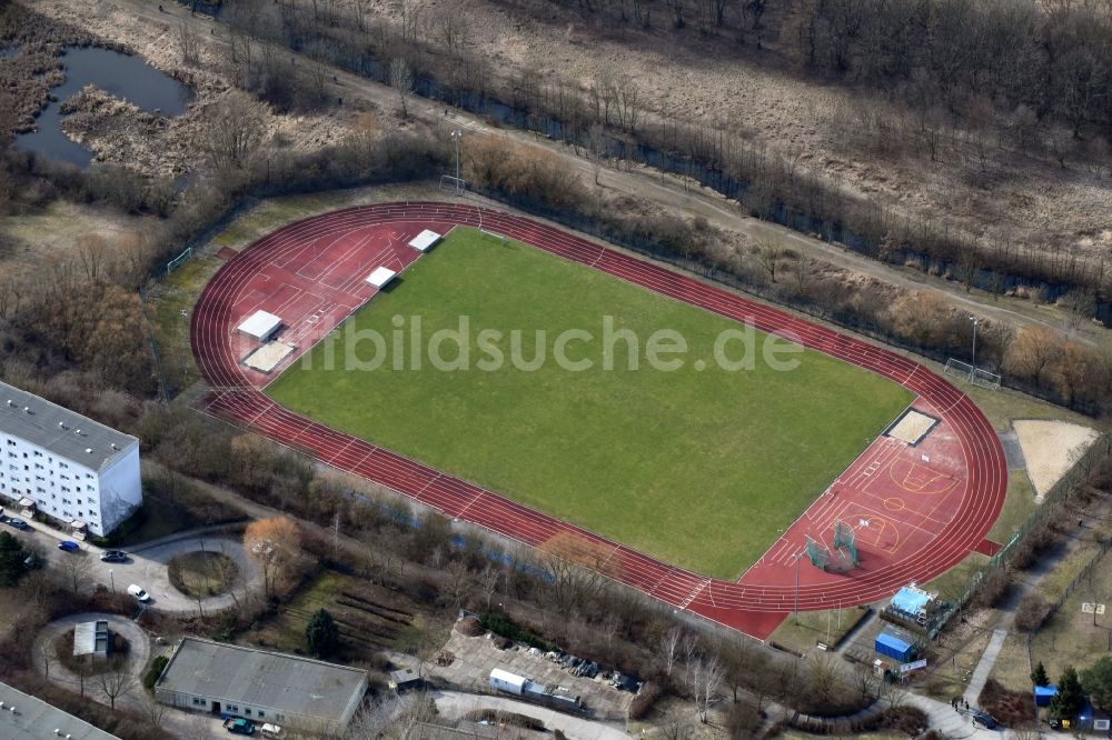 Berlin von oben - Ensemble der Sportplatzanlagen ATHLETIK-CLUB BERLIN e.V. Lubminer Straße im Ortsteil Kaulsdorf in Berlin