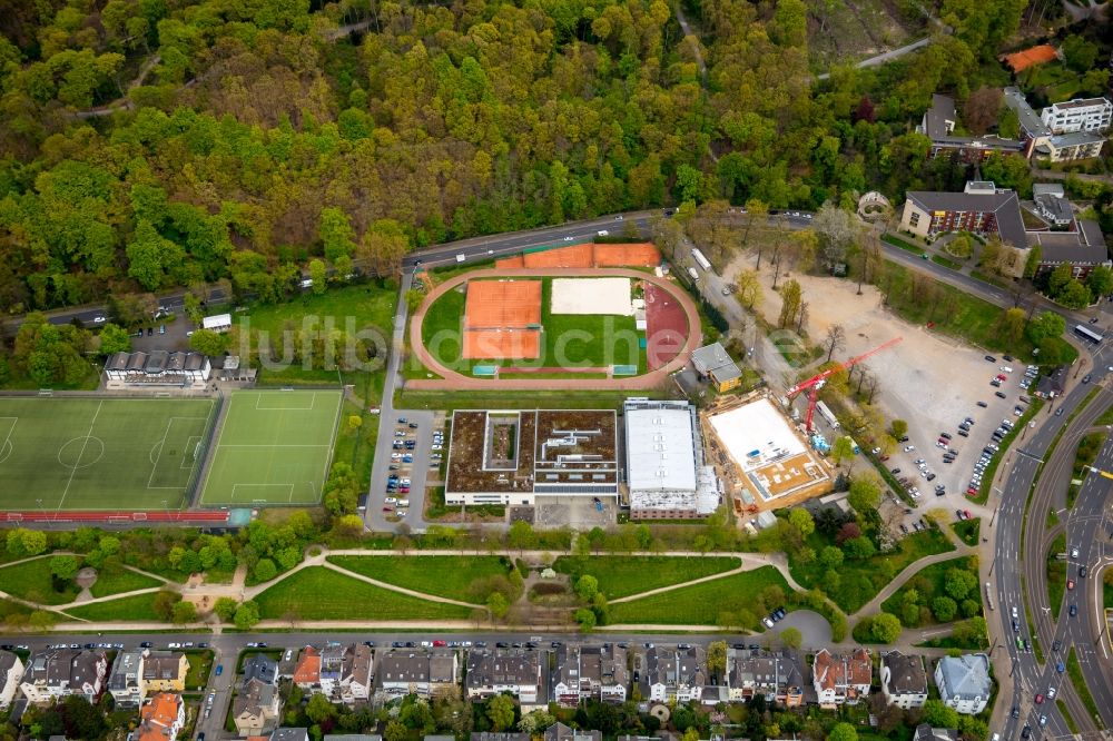 Düsseldorf aus der Vogelperspektive: Ensemble der Sportplatzanlagen der Borussia Düsseldorf am Staufenplatz in Düsseldorf im Bundesland Nordrhein-Westfalen