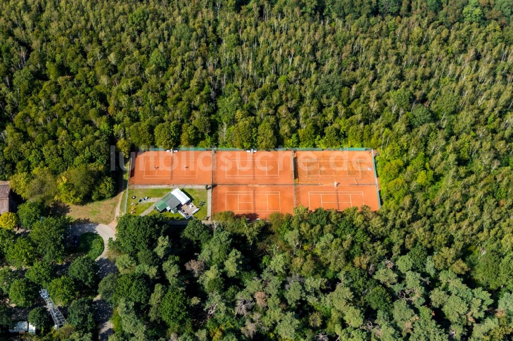 Luftbild Dinslaken - Ensemble der Sportplatzanlagen an der Gärtnerstraße in Dinslaken im Bundesland Nordrhein-Westfalen, Deutschland