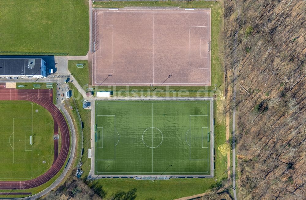 Luftbild Arnsberg - Ensemble der Sportplatzanlagen Sportzentrum Große Wiese in Arnsberg im Bundesland Nordrhein-Westfalen, Deutschland