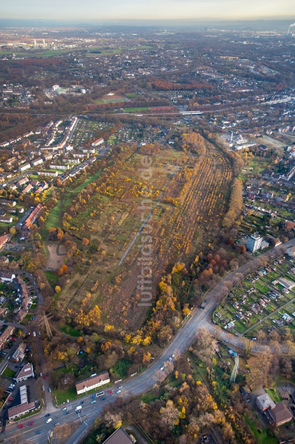 Luftbild Duisburg - Entwicklungsgebiet und Bauland- Brache entlang der Weseler Straße und der Zechenstraße im Ortsteil Marxloh in Duisburg im Bundesland Nordrhein-Westfalen