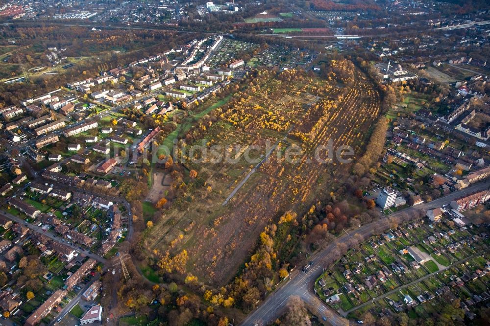 Duisburg von oben - Entwicklungsgebiet und Bauland- Brache entlang der Weseler Straße und der Zechenstraße im Ortsteil Marxloh in Duisburg im Bundesland Nordrhein-Westfalen