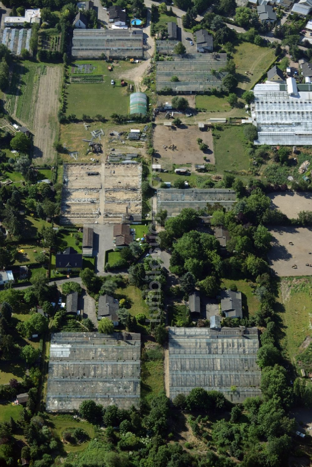 Luftaufnahme Berlin - Entwicklungsgebiet auf dem Gelände einer ehemaligen Gärtnerei an der Pfauenkehre in Berlin