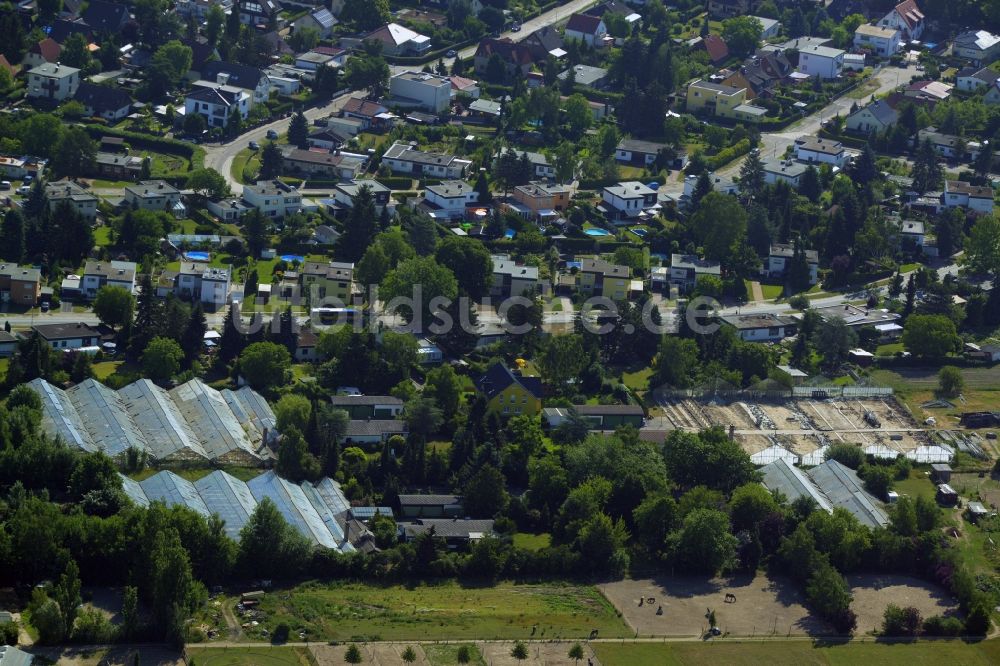 Luftbild Berlin - Entwicklungsgebiet auf dem Gelände einer ehemaligen Gärtnerei an der Pfauenkehre in Berlin