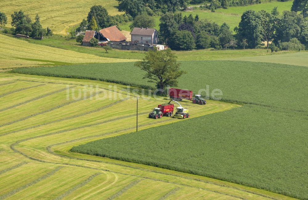 Luftbild Rüthen - Ernte auf Feldern bei Rüthen im Sauerland in der Soester Börde in Nordrhein-Westfalen