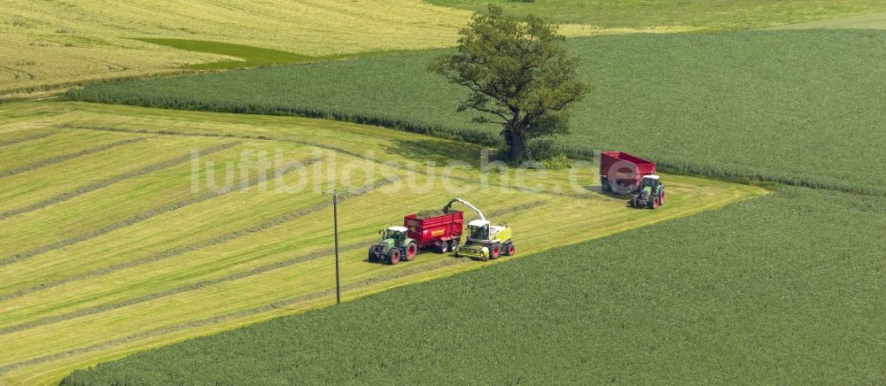 Luftaufnahme Rüthen - Ernte auf Feldern bei Rüthen im Sauerland in der Soester Börde in Nordrhein-Westfalen