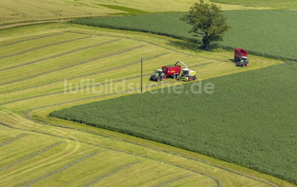 Rüthen von oben - Ernte auf Feldern bei Rüthen im Sauerland in der Soester Börde in Nordrhein-Westfalen