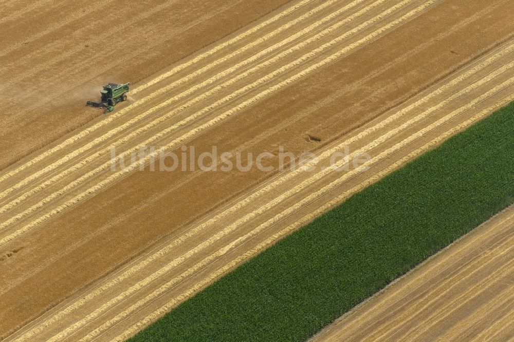 Dorsten aus der Vogelperspektive: Ernte auf Getreide - Feldern auf einem Landwirtschaftsbetrieb am Stadtrand von Dorsten in Nordrhein-Westfalen