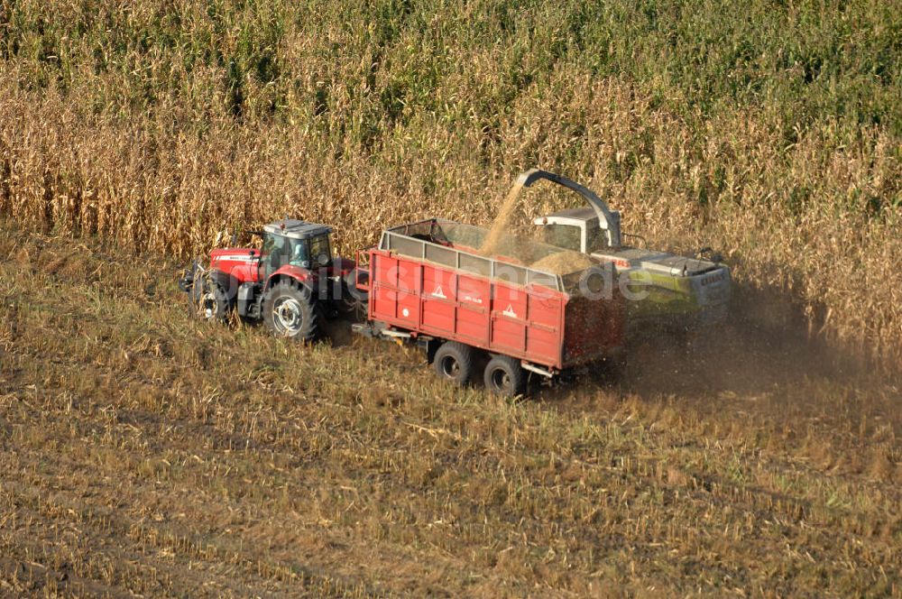 Ribbeck aus der Vogelperspektive: Ernte- und Herbstimpressionen aus Ribbeck in Brandenburg