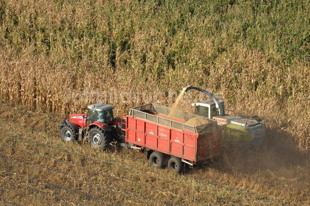 Luftbild Ribbeck - Ernte- und Herbstimpressionen aus Ribbeck in Brandenburg