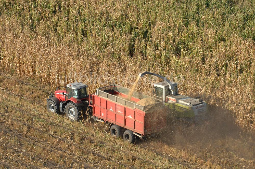 Luftaufnahme Ribbeck - Ernte- und Herbstimpressionen aus Ribbeck in Brandenburg