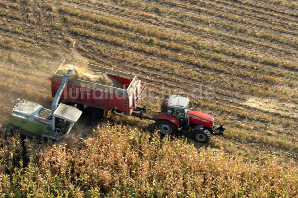 Luftbild Ribbeck - Ernte- und Herbstimpressionen aus Ribbeck in Brandenburg