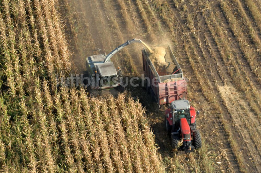 Luftaufnahme Ribbeck - Ernte- und Herbstimpressionen aus Ribbeck in Brandenburg