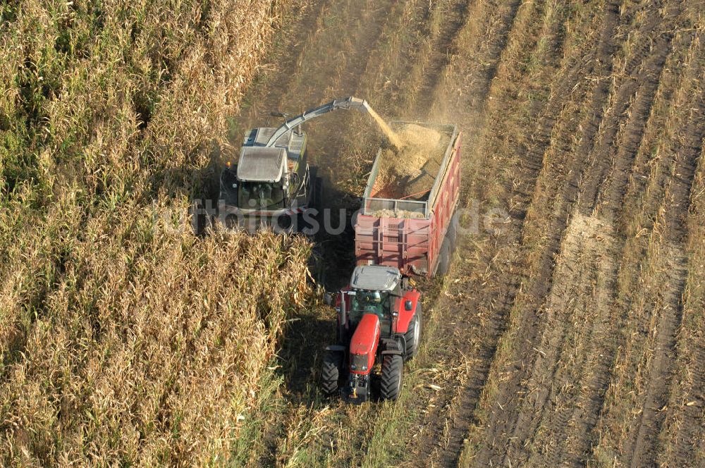 Ribbeck aus der Vogelperspektive: Ernte- und Herbstimpressionen aus Ribbeck in Brandenburg