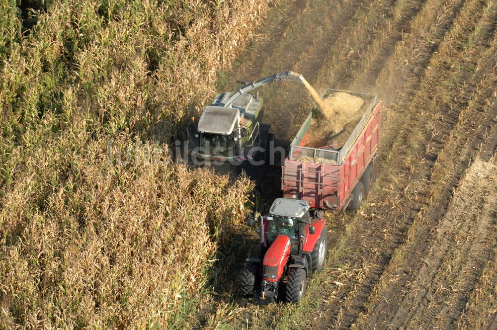 Luftbild Ribbeck - Ernte- und Herbstimpressionen aus Ribbeck in Brandenburg