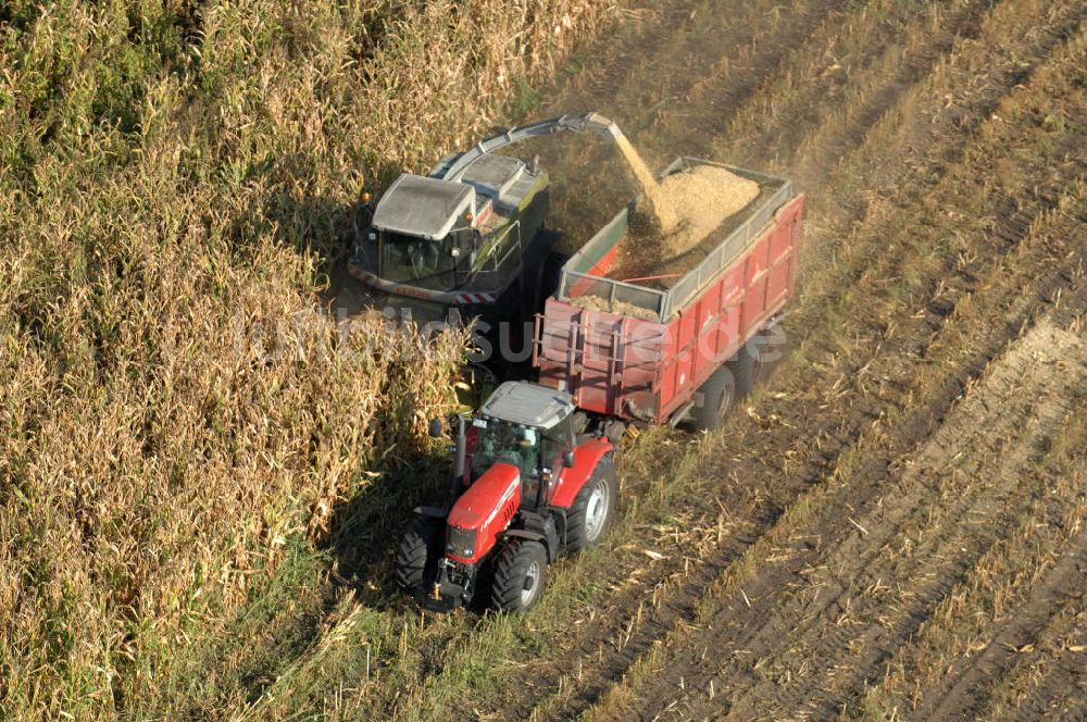 Luftaufnahme Ribbeck - Ernte- und Herbstimpressionen aus Ribbeck in Brandenburg