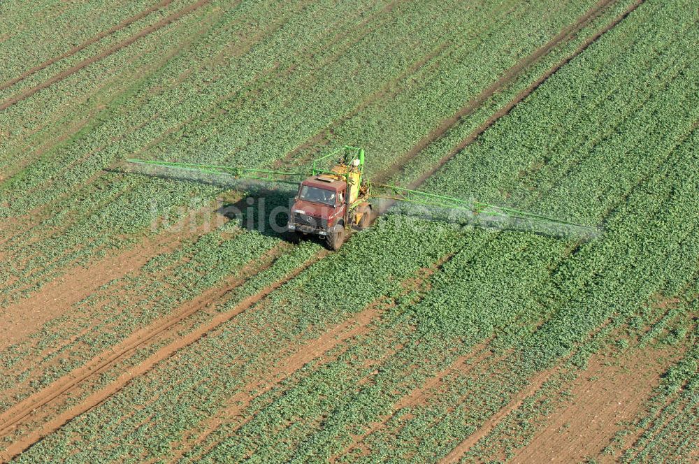 Ribbeck von oben - Ernte- und Herbstimpressionen aus Ribbeck in Brandenburg