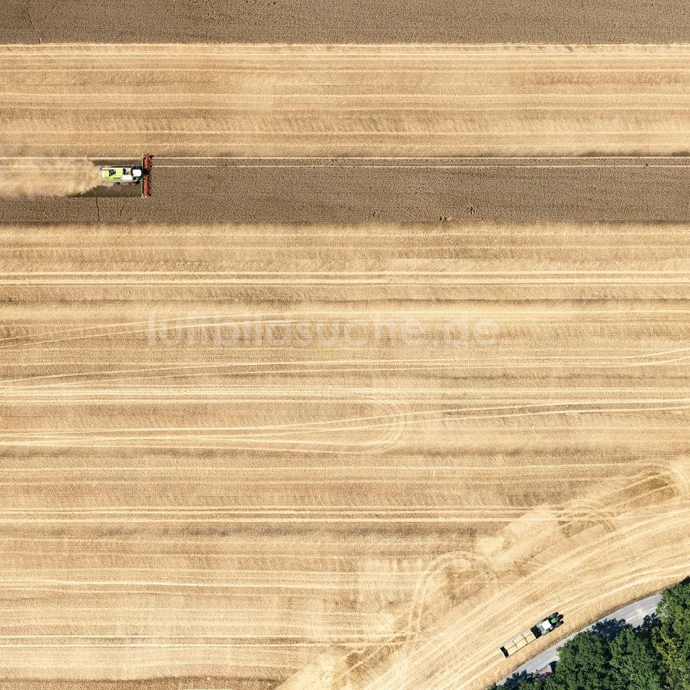 Bad Düben aus der Vogelperspektive: Ernteeinsatz auf landwirtschaftlichen Feldern in Bad Düben im Bundesland Sachsen, Deutschland