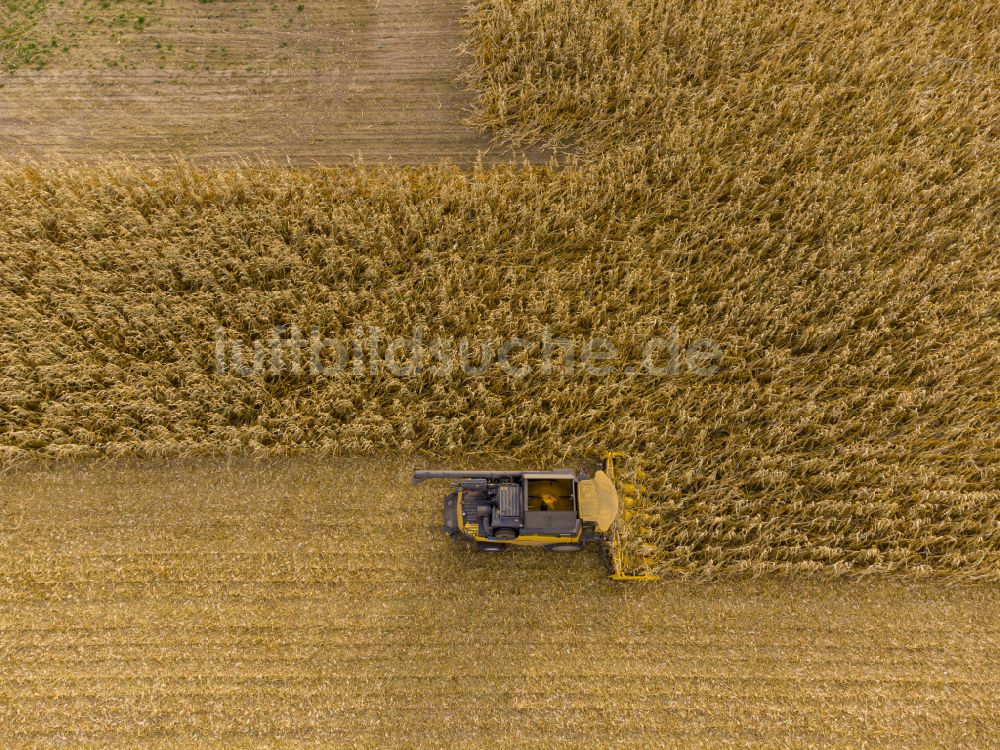 Luftaufnahme Bannewitz - Ernteeinsatz auf landwirtschaftlichen Feldern in Bannewitz im Bundesland Sachsen, Deutschland