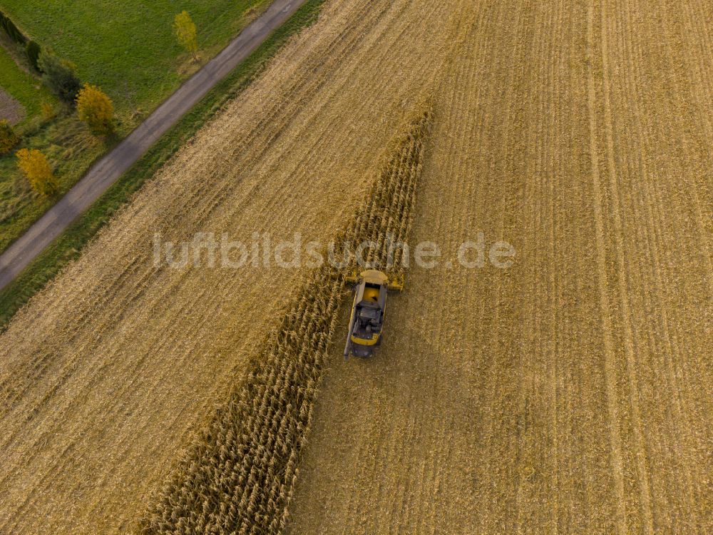 Bannewitz aus der Vogelperspektive: Ernteeinsatz auf landwirtschaftlichen Feldern in Bannewitz im Bundesland Sachsen, Deutschland