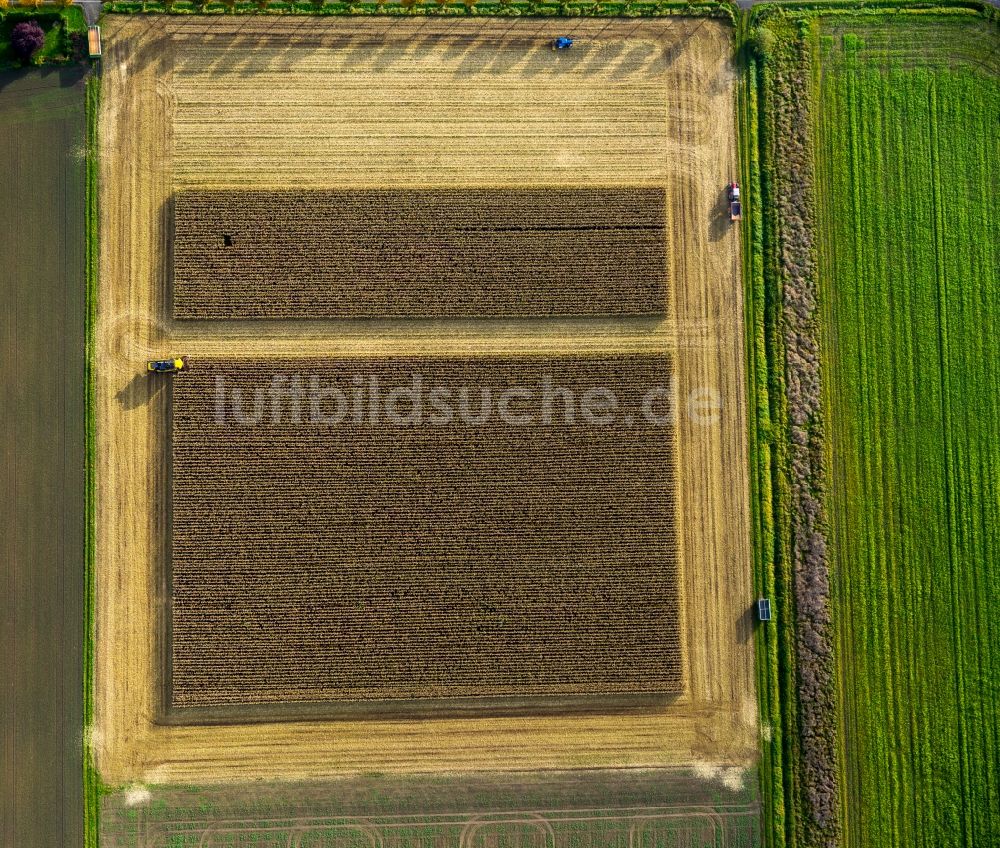 Dortmund von oben - Ernteeinsatz auf landwirtschaftlichen Feldern in Dortmund im Bundesland Nordrhein-Westfalen