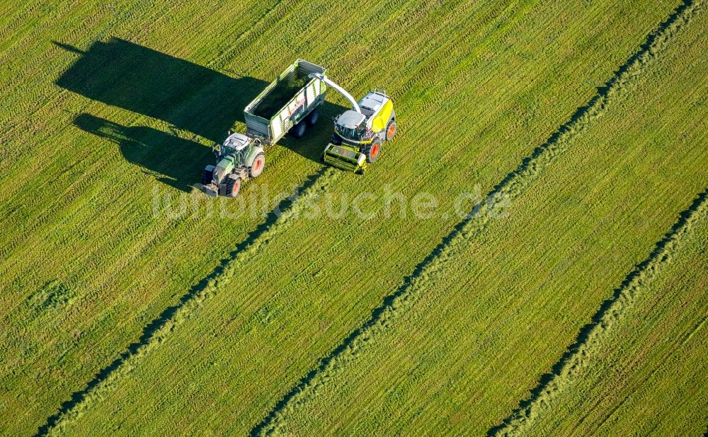 Luftaufnahme Ebbinghof - Ernteeinsatz auf landwirtschaftlichen Feldern in Ebbinghof im Bundesland Nordrhein-Westfalen