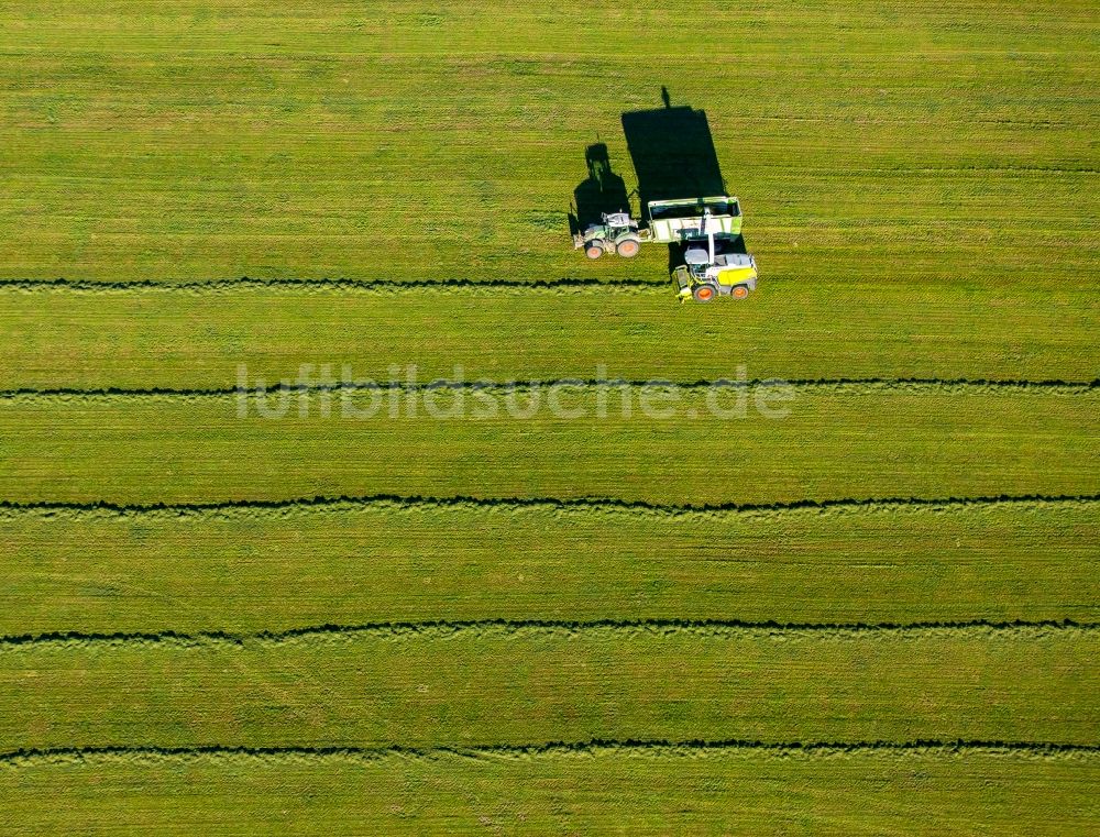 Ebbinghof von oben - Ernteeinsatz auf landwirtschaftlichen Feldern in Ebbinghof im Bundesland Nordrhein-Westfalen