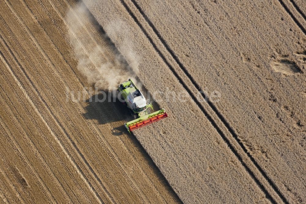 Friedland von oben - Ernteeinsatz auf landwirtschaftlichen Feldern in Friedland im Bundesland Niedersachsen