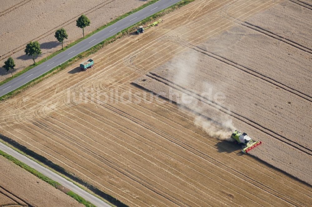 Friedland aus der Vogelperspektive: Ernteeinsatz auf landwirtschaftlichen Feldern in Friedland im Bundesland Niedersachsen