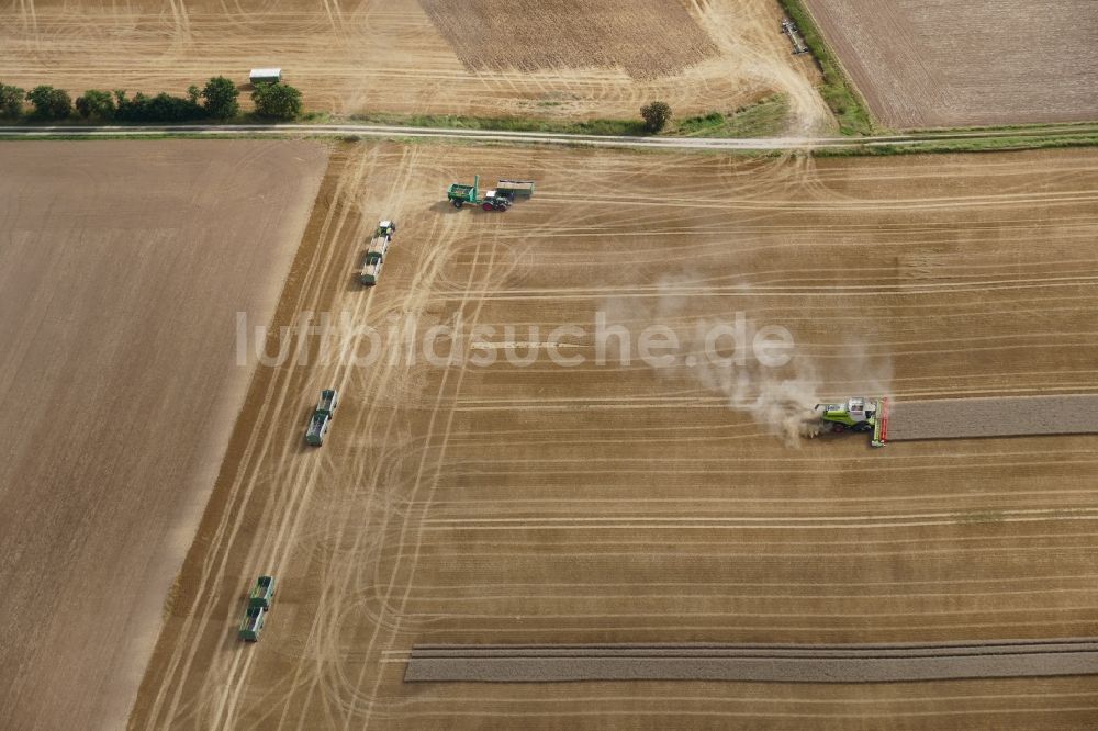 Friedland von oben - Ernteeinsatz auf landwirtschaftlichen Feldern in Friedland im Bundesland Niedersachsen