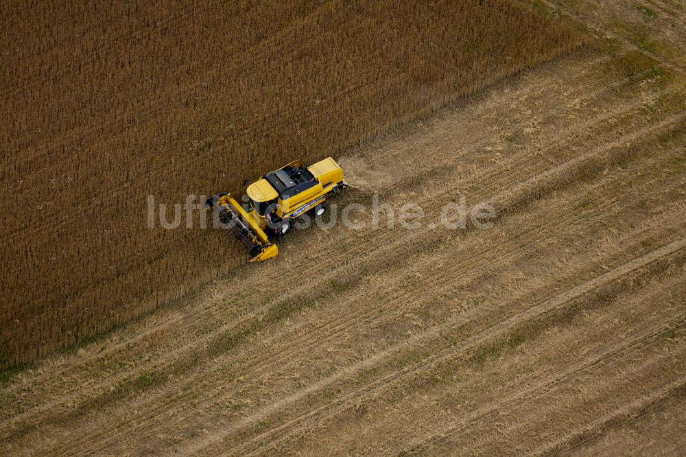 Luftbild Friedland - Ernteeinsatz auf landwirtschaftlichen Feldern in Friedland im Bundesland Niedersachsen, Deutschland