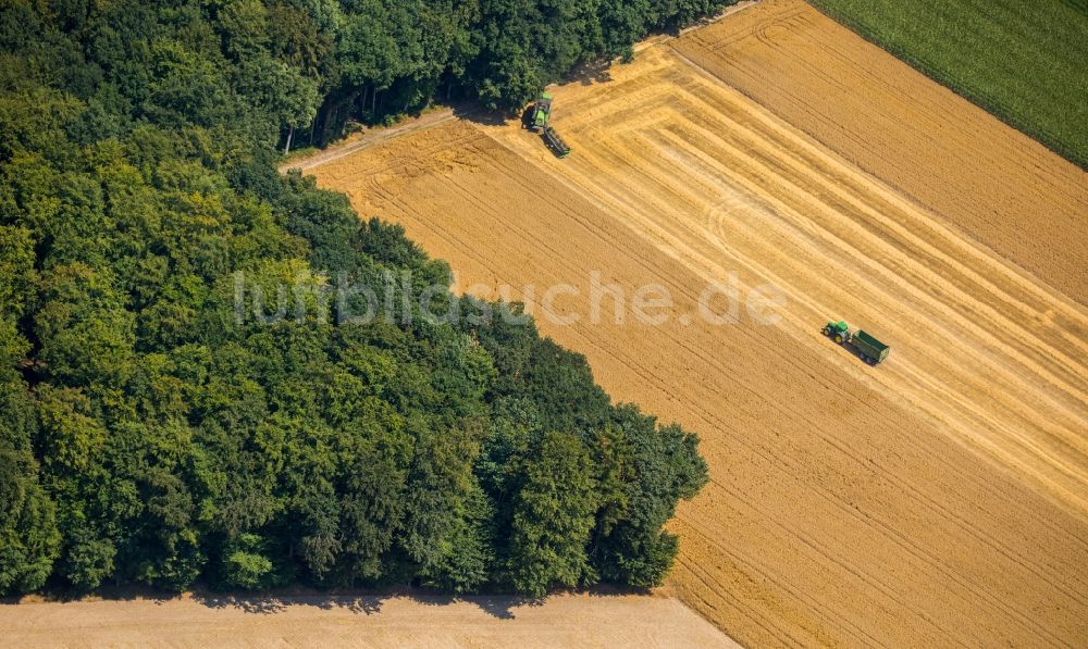 Haltern am See von oben - Ernteeinsatz auf landwirtschaftlichen Feldern in Haltern am See im Bundesland Nordrhein-Westfalen, Deutschland