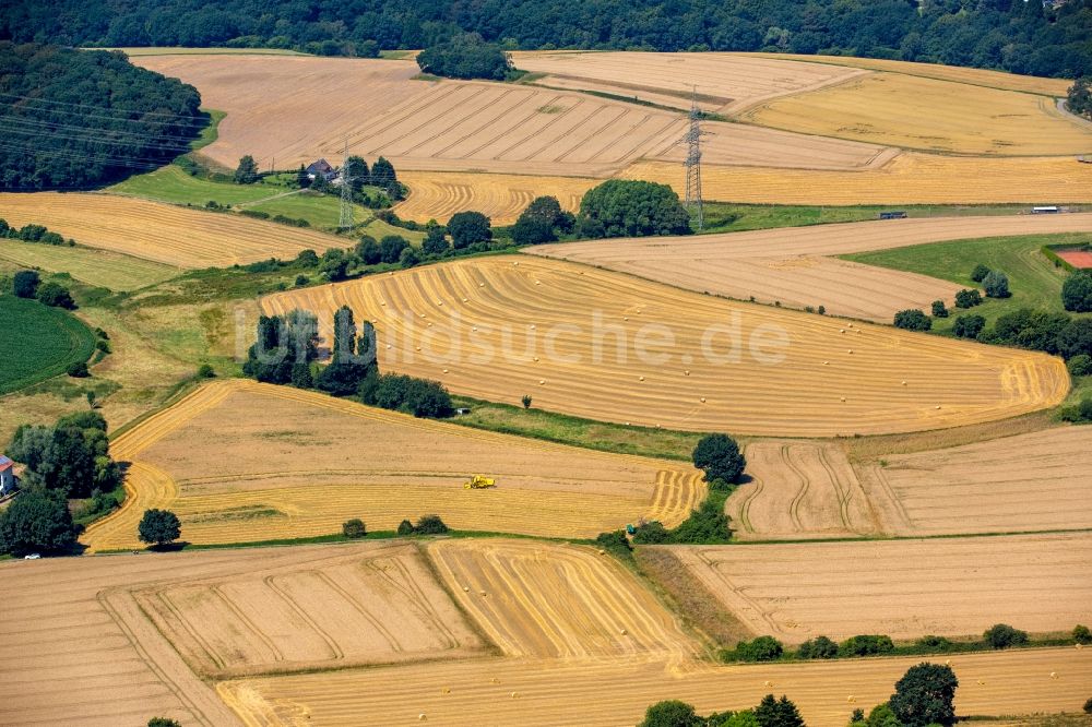 Hattingen von oben - Ernteeinsatz auf landwirtschaftlichen Feldern in Hattingen im Bundesland Nordrhein-Westfalen