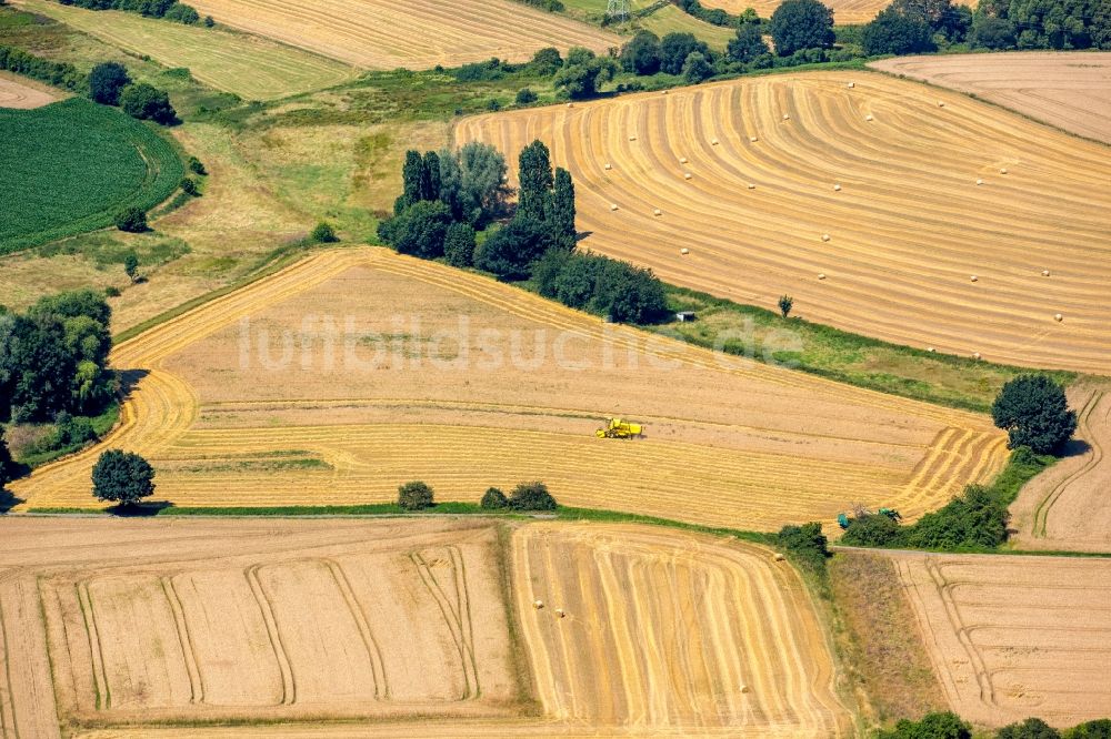 Hattingen aus der Vogelperspektive: Ernteeinsatz auf landwirtschaftlichen Feldern in Hattingen im Bundesland Nordrhein-Westfalen