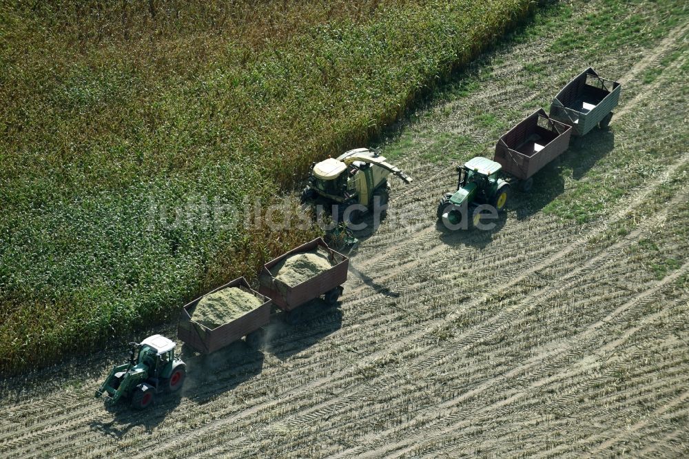 Luftaufnahme Käthen - Ernteeinsatz auf landwirtschaftlichen Feldern in Käthen im Bundesland Sachsen-Anhalt